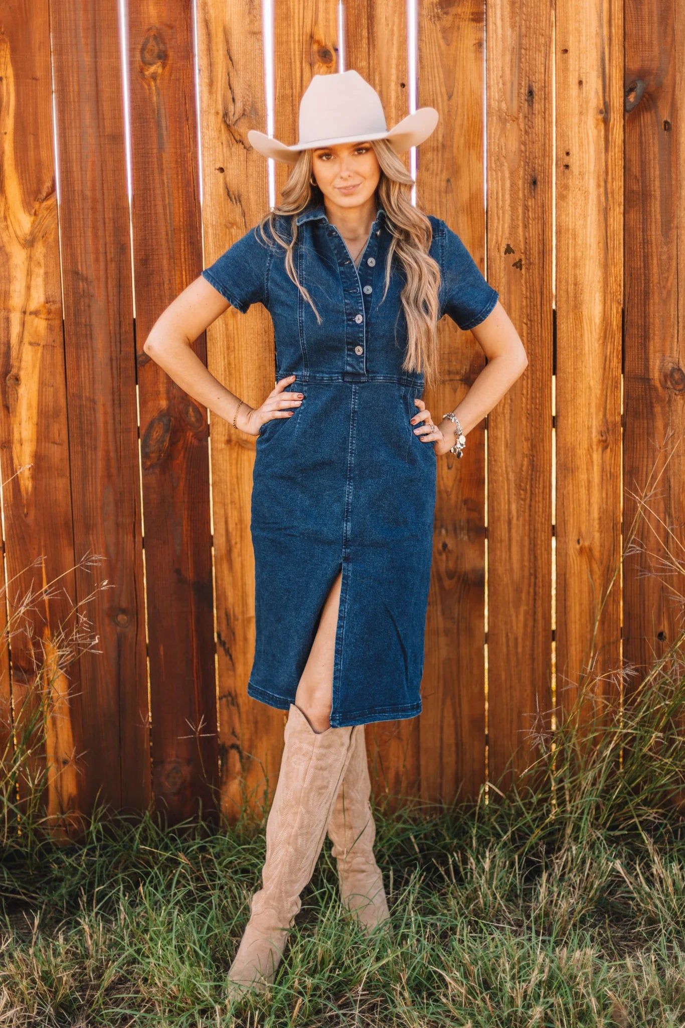 The Little Denim Dress