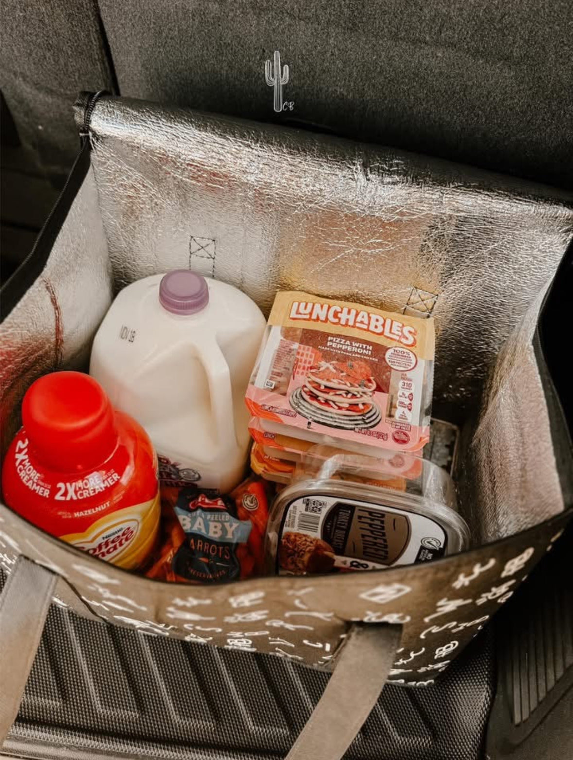 Camo Insulated Bag