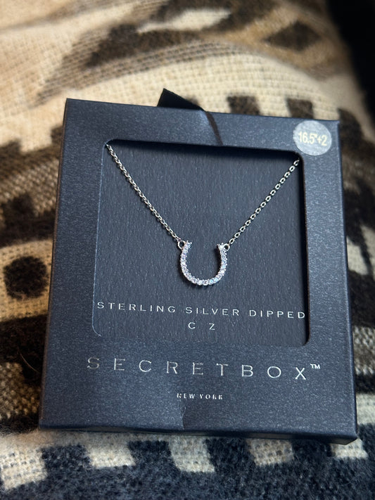 Rhinestone horseshoe necklace