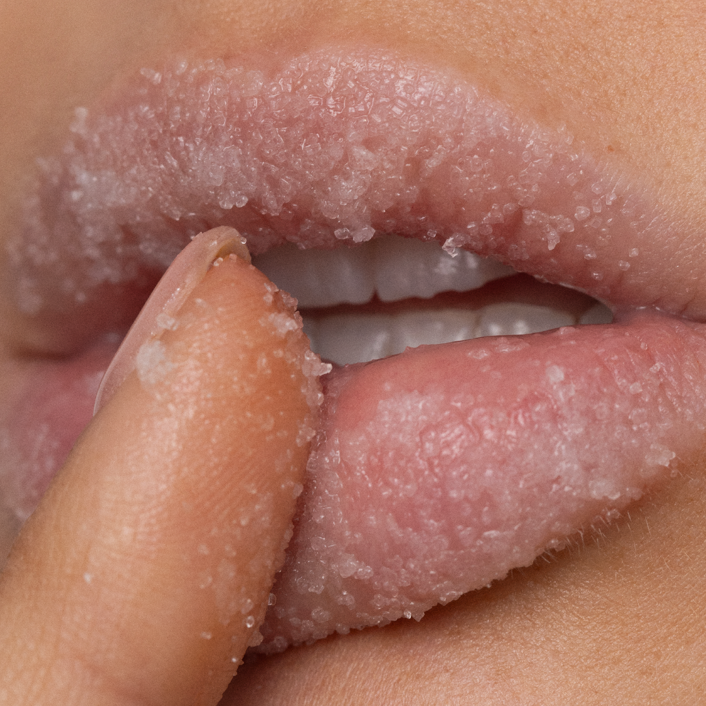 Poppy & Pout Lip Scrub
