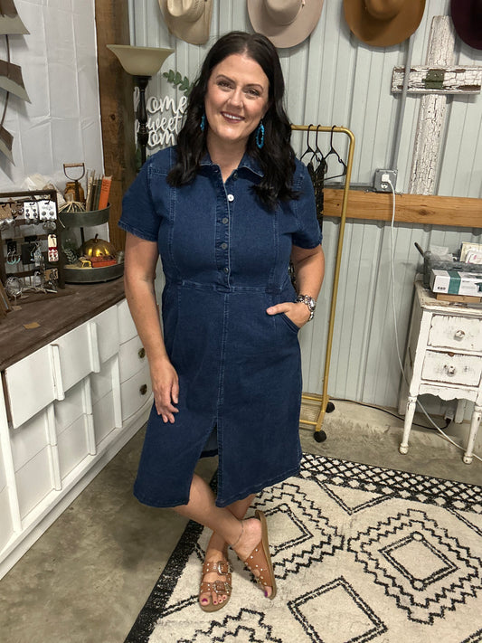 The Little Denim Dress